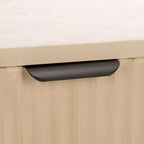 Mobile TV Thurston 2 ante