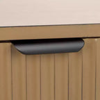Mobile TV Thurston 2 ante